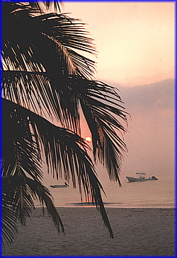 Isla Mujeres-Sunrise